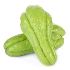 HORTI CHUCHU KG