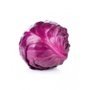 REPOLHO ROXO KG