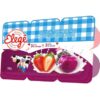 BEBIDA LACTEA BIO LAT MOR 1,150GR