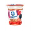 IOGURTE DANONE NATURAL DESNATADO 160GR