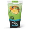 SUCO KAPO LARANJA 200ML