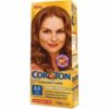 TINTA COR&TON BORD 4.66