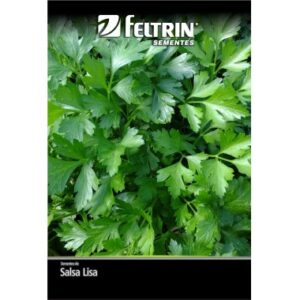 SEMENTE FELTRIN SALSA LISA