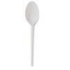 GARFO PLASTICO CONSERV C/10UN
