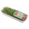 SALVIA GAUER TEMPEROS 18G