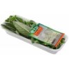 SALVIA GAUER TEMPEROS 18G