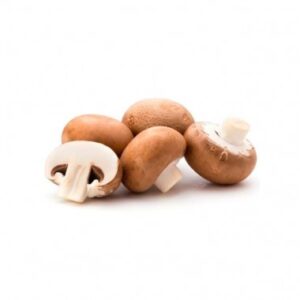 HORTI COGUMELO CASTANHO 2